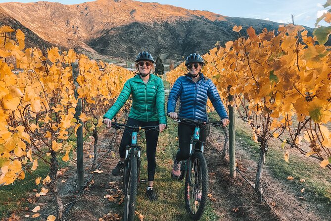Bike The Wineries Full Day Ride Queenstown