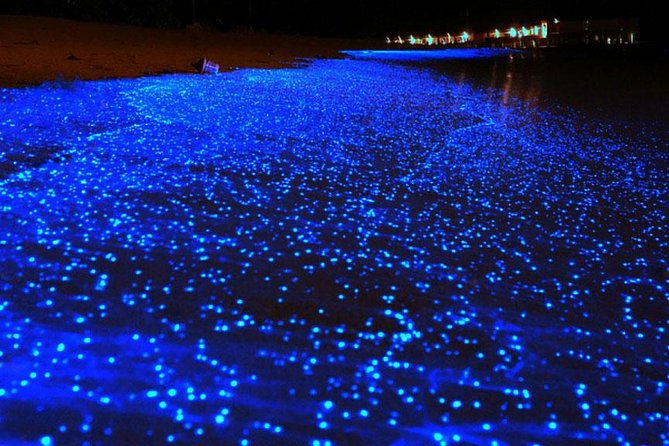 Bio Luminescent Swimming From Krabi - Inclusions and Fees