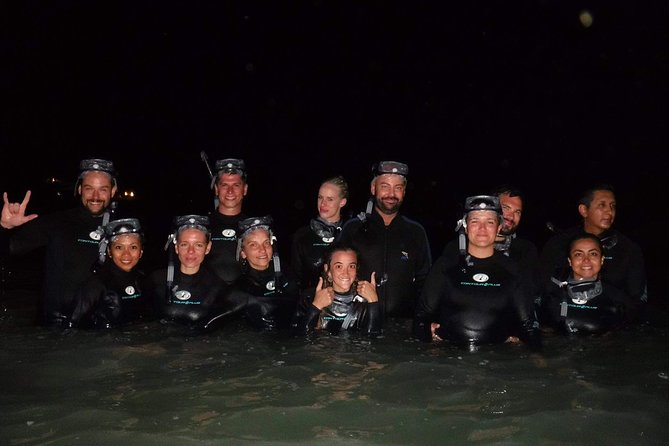 Bioluminescence Experience in Holbox - Overview of Bioluminescence