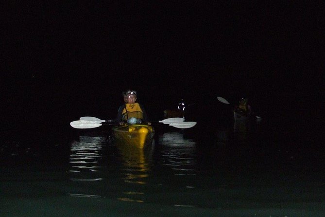 Bioluminescence Kayak Tour - Est. 1994