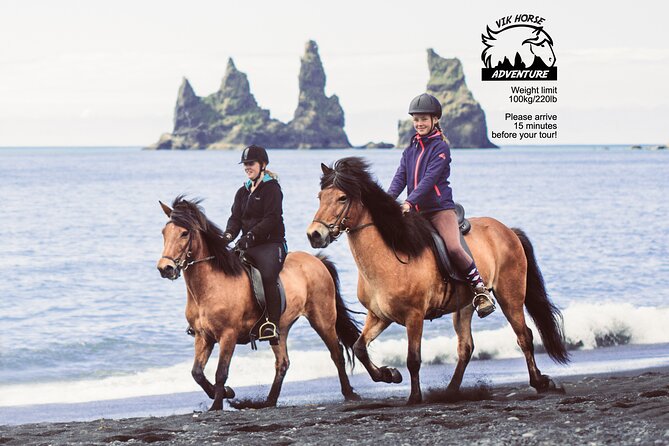 Black Sand Beach Horse Riding Tour From Vik