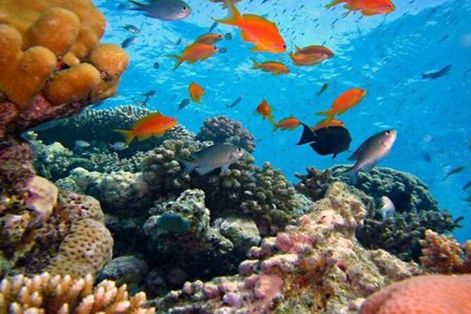 Blue Lagoon Bali Snorkeling Activities All Inclusive - Overview of Blue Lagoon Bali