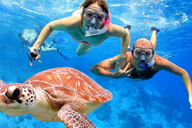 Blue Lagoon Snorkeling With Lunch and Private Transport - Activity Overview