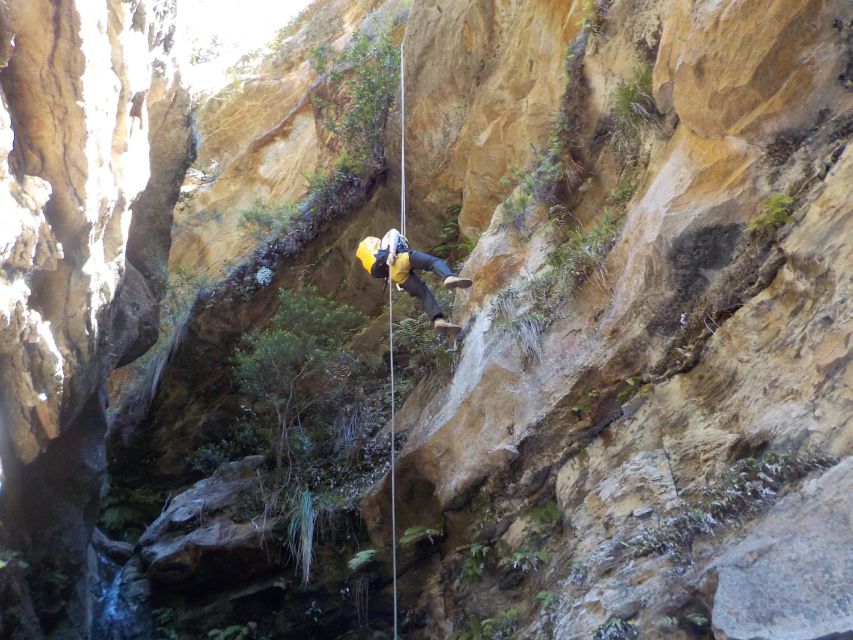 blue-mountains-abseiling-or-canyoning-experience-activity-options