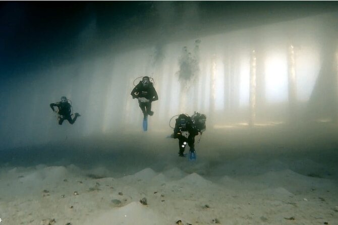 boat-dive-2-guided-dives-with-lunch-included-wreck-divereef-dive-overview-of-the-experience