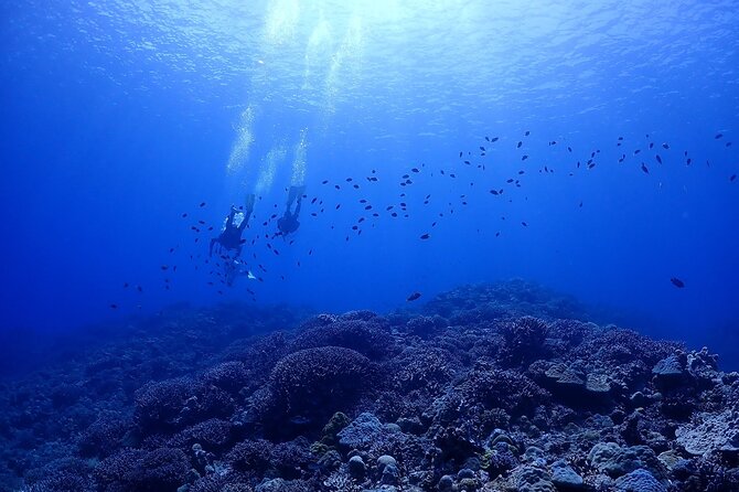 boat-dive-package-2-dives-at-minna-island-or-sesoko-okinawa-package-details