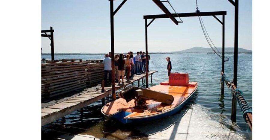 BOUZIGUES: TASTING VISIT TO AN OYSTER FACTORY - Exploring the Oyster Establishment