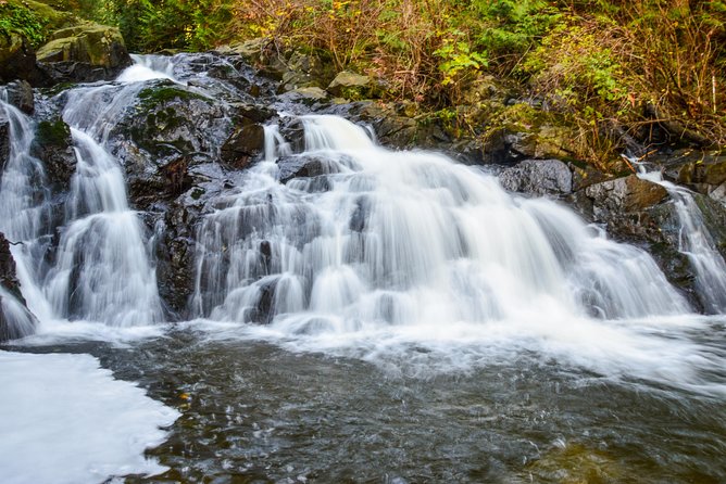Bowen Island Ferry, Hike & Photography - Tour Overview