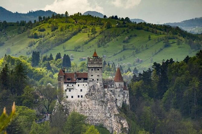 Brasov: Peles Castle, Bran Castle and Rasnov Fortress Day Tour