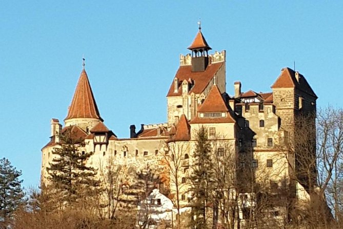 Brown Bear Sanctuary, Rasnov Fortress and Bran Castle Tour From Brasov
