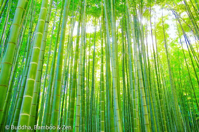 Buddha, Bamboo & Zen – Bespoke Kamakura Private Walking Tours