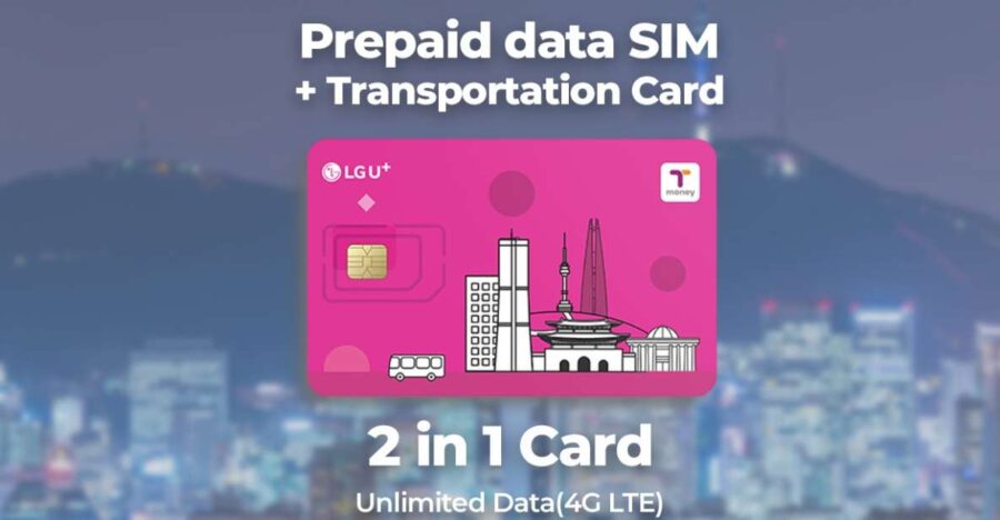 Busan Airport: Traveler SIM and Public Transportation Card