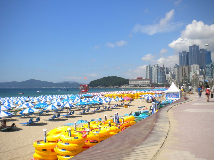 busan-private-tour-with-a-local-customized-itinerary-options