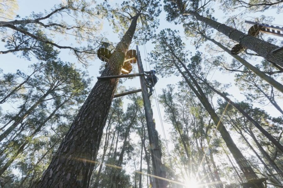 Busselton: Forest Adventure With Zip Lining and Rope Course - Activity Overview
