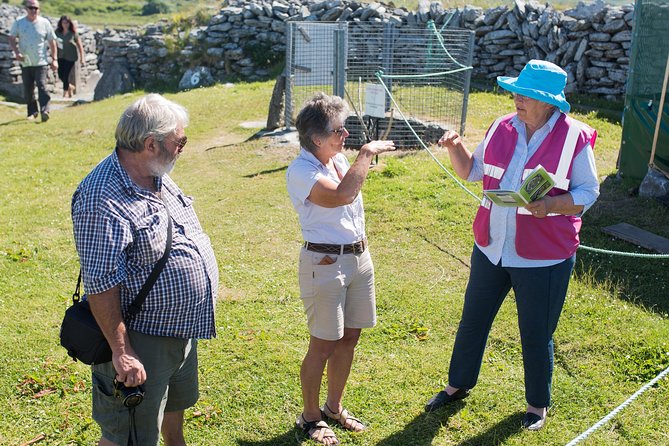 caherconnell-fort-sheepdog-demonstrations-overview-of-caherconnell-fort