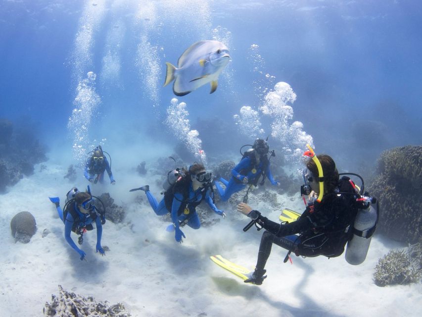 Cairns: 4-Day PADI Open Water Course