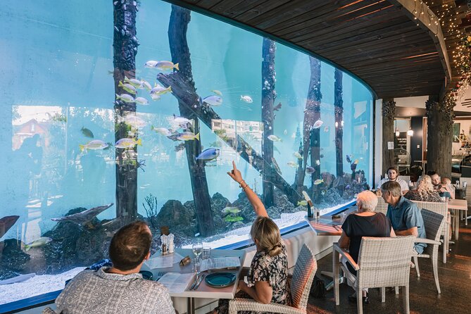 Cairns Aquarium by Twilight Tour and 3-Course Dinner