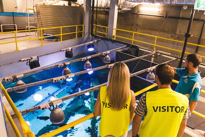 Cairns Aquarium Marine Life Encounter Ticket