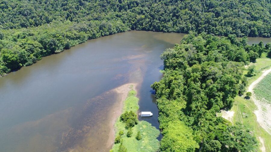 cairns-daintree-rainforest-wildlife-experience-cruise-experience-overview