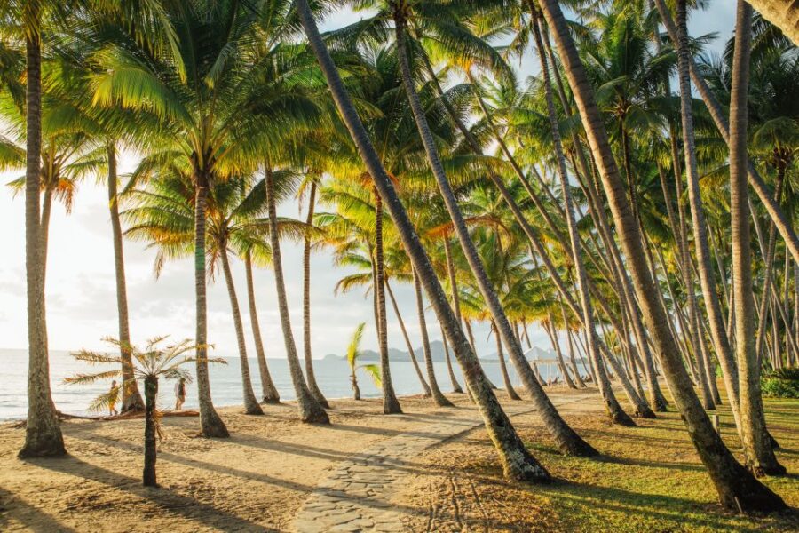 Cairns: Half-Day City Sightseeing Tour - Tour Overview