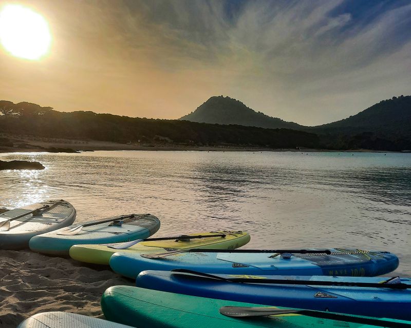 Cala Ratjada: Stand up Paddle Morning or Afternoon Tour - Tour Overview and Pricing