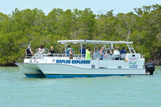 calm-bay-fishing-overview-of-the-excursion