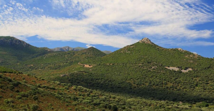 Calvi: Asco Valley 4×4 Day Tour With Guide