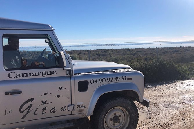 camargue-4x4-safari-2-hours-saintes-maries-de-la-mer-exploring-the-rugged-camargue-region