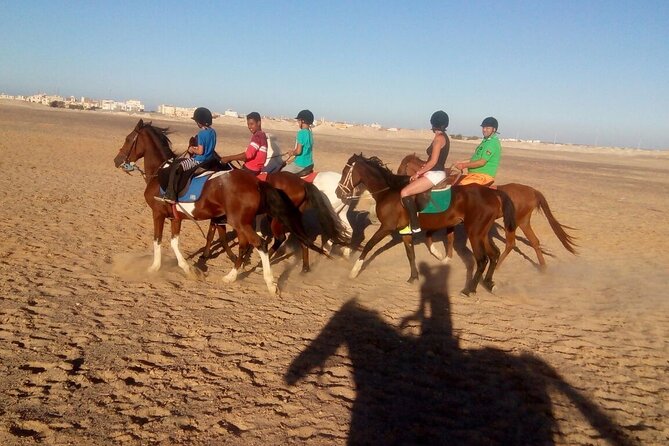 Camel Ride & Bedouin Dinner Quad Safari in Sharm El Sheikh