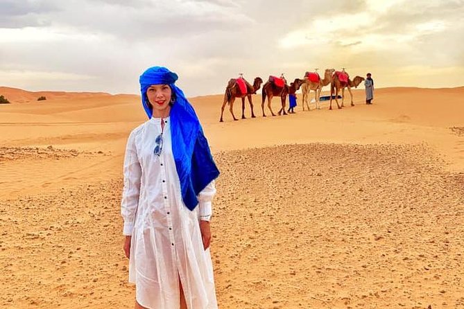 camel-ride-experience-overview-of-the-experience