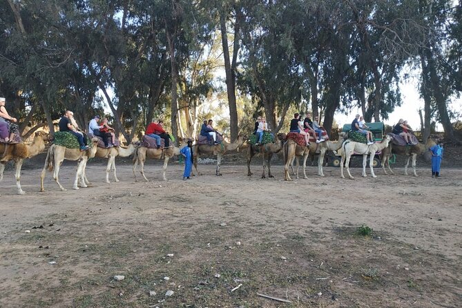 Camel Ride + Sunset + BBQ Dinner in Agadir