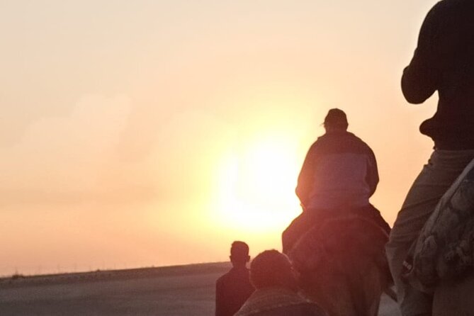 Camel Riding Tour in Luxor West Bank - Meeting Point and Pickup