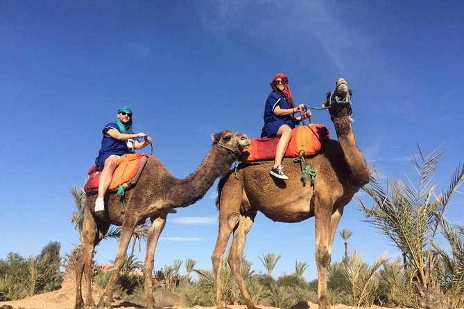 Camel Trek Around Marrakech Palmeraie - Inclusions and Exclusions