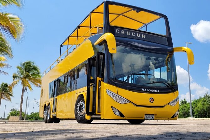 Cancun Guided Bus City Tour (from Cancun and Riviera Maya)