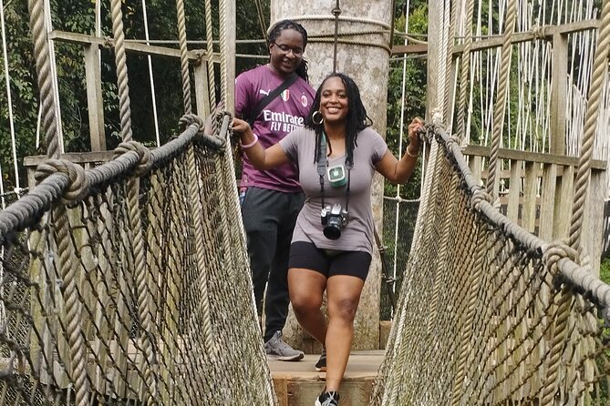 Cape Coast-Elmina Castles and Kakum Park Day Tour