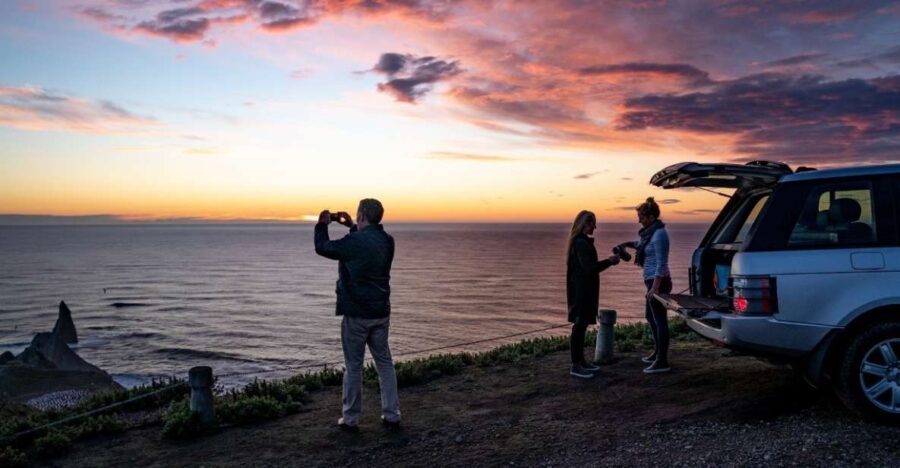 Cape Kidnappers: Gannet Colony Exclusive Sunrise Tour