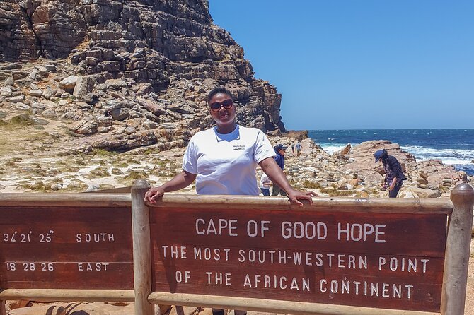 Cape of Good Hope & Penguins Boulders Beach in Private Car - Tour Overview