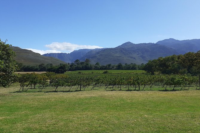 Cape Winelands and Wine Tasting Full Day Tour