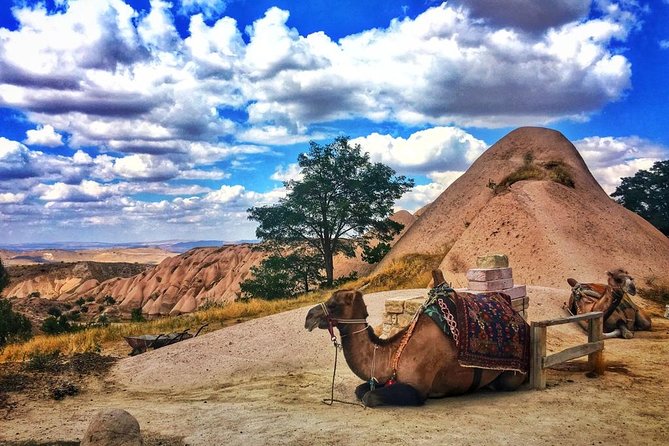 Cappadocia Red Tour (Pro Guide, Tickets, Lunch, Transfer Incl) - Surrealist Landscapes