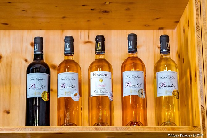 Cellar Visit & Bandol Wine Tasting - Overview of the Experience