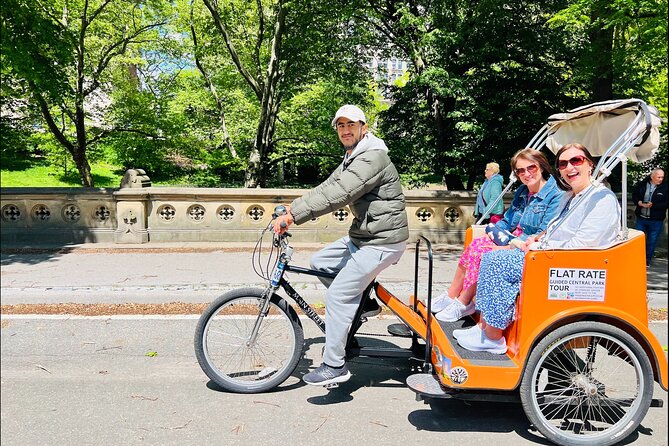 Central Park 2 - Hours Private Pedicab Guided Tour - Overview