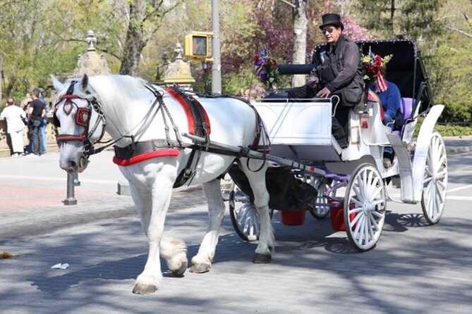 Central Park and NYC Horse Carriage Ride OFFICIAL ( ELITE Private) Since 1970™ - Details of Horse-Drawn Carriage Ride