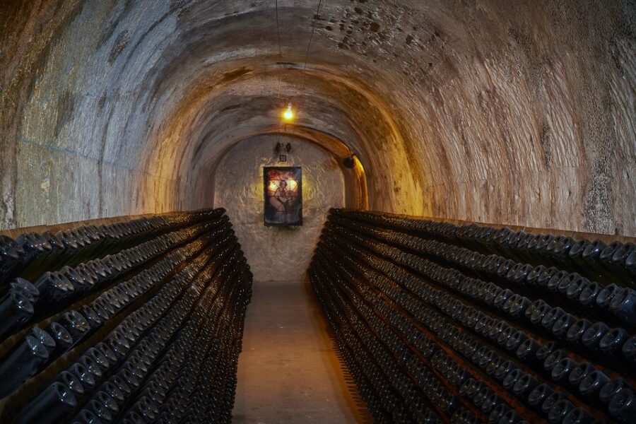champagne-canard-duchene-champagne-house-tour-tour-duration-and-languages