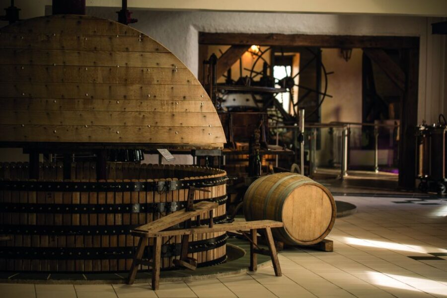 Champagne Dom Caudron, Meunier Experience – Tour in English