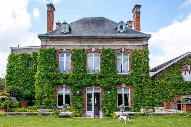 champagne-tasting-class-and-lunch-near-epernay-exploring-the-champagne-house