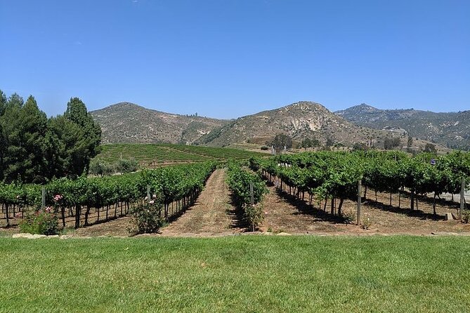 Chauffeured Adventure to Local San Diego Vineyards
