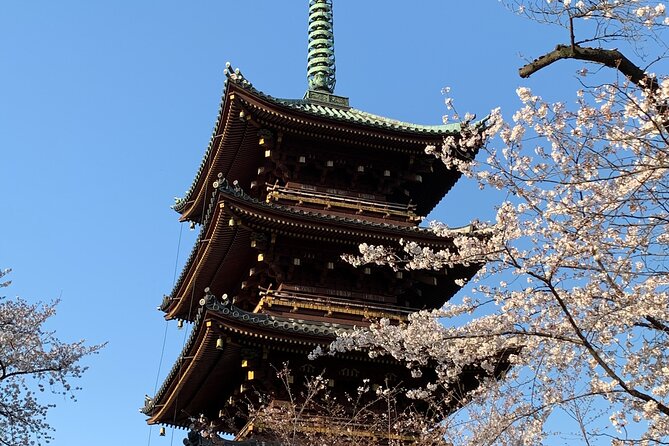 Cherry Blossom Tour in Tokyo - Inclusions and Highlights