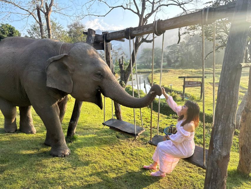 Chiang Mai: 2-Day Good Morning Elephant & Overnight Homestay - Overview and Pricing