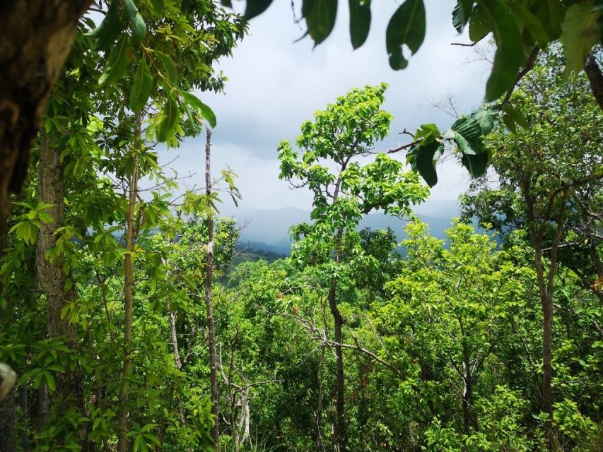 Chiang Mai: One Day Trek to Beautiful Local Village - Overview and Pricing