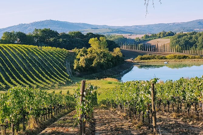Chianti Wine Tastings at Sunset Day Trip From Florence - Overview of the Tour